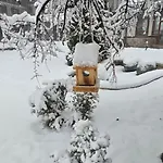 евелина палас 4*