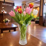 евелина палас 4*