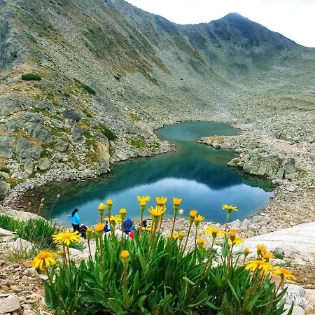 Evelina Palace Otel 4*