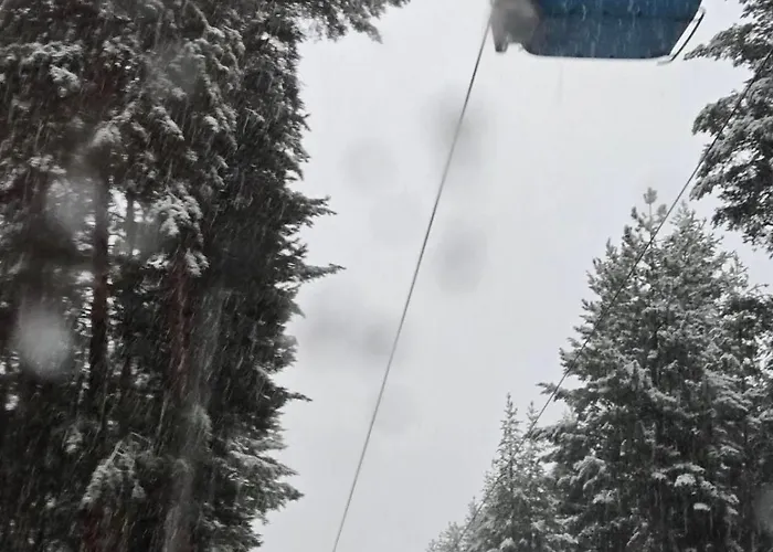 Evelina Palace Hotel 4*