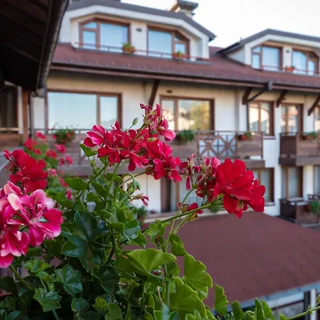 에블리나 팰리스 4*