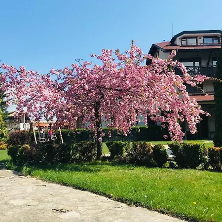 에블리나 팰리스 4*