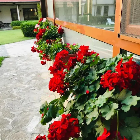 Evelina Palace Отель