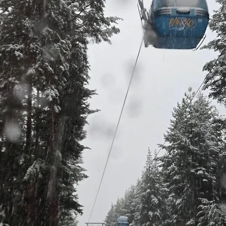 Evelina Palace Hotel 4*