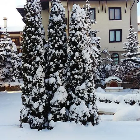 에블리나 팰리스 4*