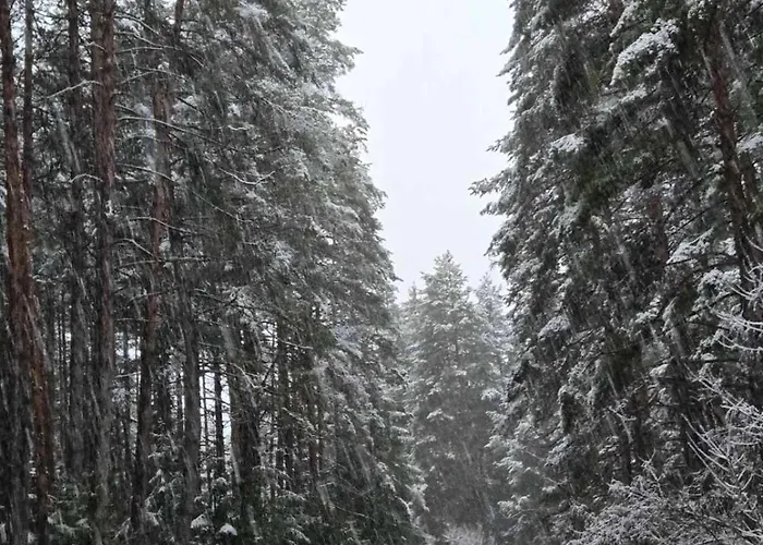埃维莉娜宫殿酒店 4*